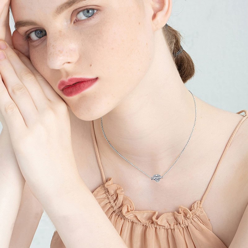 REDSUN Heart Necklace 925 Sterling Silver Cubic Zirconia Necklace Heart