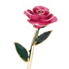 Beautiful Elegant Everlasting Gold Plated Rose Flower Valentine's Gift Red