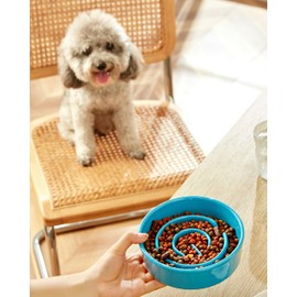 Ceramic Slow Feeder Dog Bowl for Small Breed, Dog Slow Feeder Bowl for Fast Eaters, Slow Feeder Cat Bowl, 14oz, Baby Blue