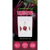 yellow grass [Neolangpul] Jeju beet powder 500g / 100% domestic