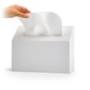 Seamless Polycarbonate Hand Towel Box Cover with Custom Matte Finish,