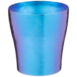 HORIE T15KM250-750 T15KM250-750 Titanium Double Walled Tumbler, Made in Tsubame Niigata Prefecture, 8.5 fl oz (250 cc), Group Blue