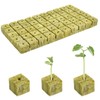 DIELOVEHUA Pack of 50 Rockwool Cubes, 2.5 x 2.5 x