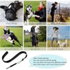 Sarini 2 Pack Dog Whistle, Dog Whistles For Recall, Ultrasonic
