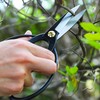 KAKURI Bonsai Scissors Long Blade Made in Japan 8", Japanese