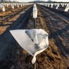 Biotop - Anti-Frost Protection Covers for All Types of Trees,