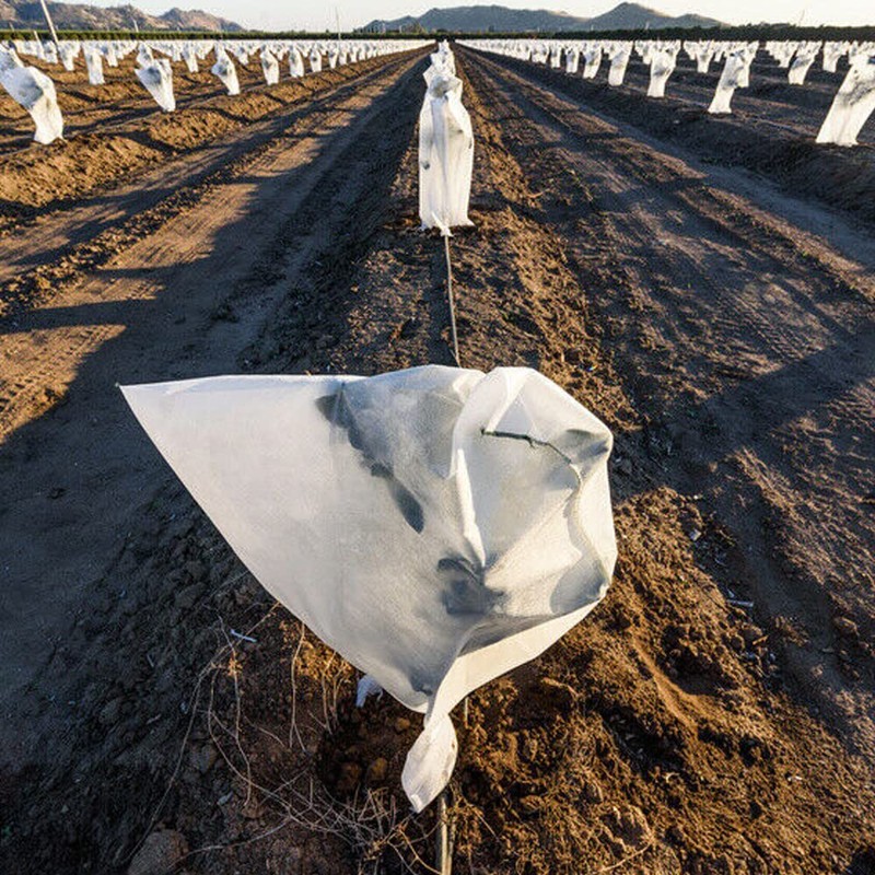 Biotop - Anti-Frost Protection Covers for All Types of Trees,