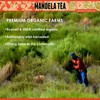 Mandela_Tea_Parent (Rooibos (With Gift Tin))