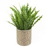 Leaf Ceramic Planters, 12cm Grey Geometric