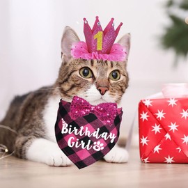 JOTFA Cat Birthday Party Supplies, Cat Birthday Outfits Cat Kitten Birthday Girl Bandanas with Cat Birthday Hat Crown Cat Bow Tie Birthday Number for Cat Kitten Birthday Decorations (Rose)