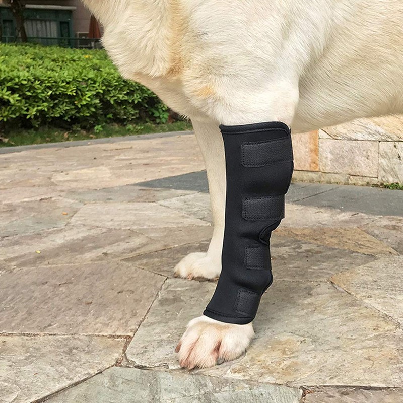 MinniLove Supporter for Dogs, Cats, Pets, Foot Protector, Protective Bandage,