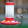 Hummingbird Feeders for Outdoors,30 Pcs Hummingbird Feeder,Hummingbird Feeder Replacement Parts,hummingbird