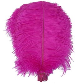 Shekyeon Fuchsia 16-18inch 40-45cm Ostrich Feather DIY Craft Feather Pack of 10