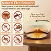 4 Packs Flea Trap-Flea Traps for Inside Your Home, Effective