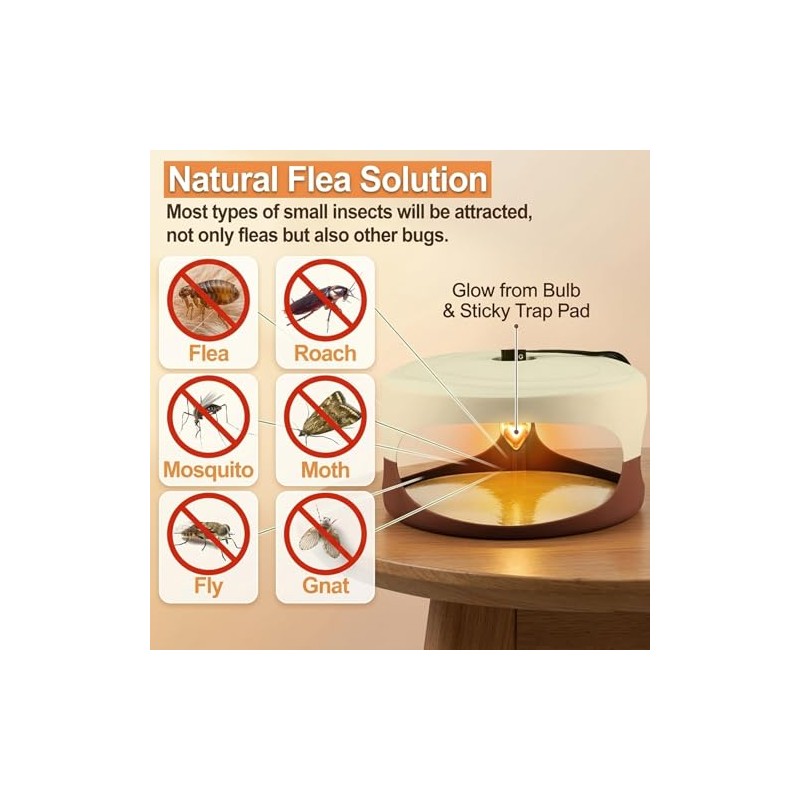 4 Packs Flea Trap-Flea Traps for Inside Your Home, Effective