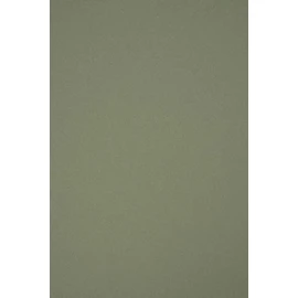 Netuno 10x Olive Green Cardboard A5 148x210 mm 5.83x8.27 in 120gsm Materica Verdigris Recycled Coloured Cardboard Recycled Paper Natural Ecological Cardboard for Crafts Coloured Card eco-Friendly