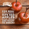 Seneca Caramel Apple Chips | Made from Fresh Apples |