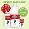 Nitrogen for Plants – Liquid Tri-Source Nitrogen for Deep Green