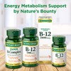 Vitamin B12 by Nature's Bounty, Quick Dissolve Vitamin Supplement, Supports