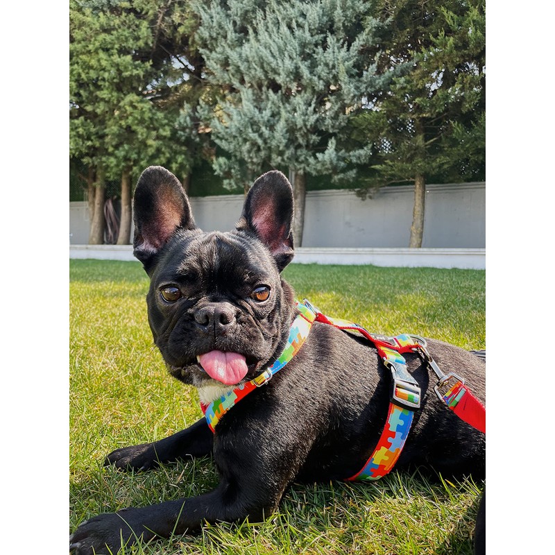 Dog Harness Set, Dog Leash&Collar Set Puzzle Model (Large)