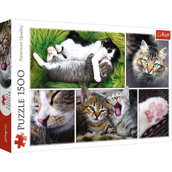 Trefl 1500 Piece Jigsaw Puzzle, Just Cat Things Collage, Pets, Cats and Kittens, Animal Collage, Adult Puzzles, 26145