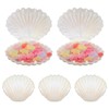 Ipetboom Sea Shell Candy Boxes, 30pcs Seashell Party Favor Container,