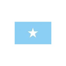 2ft. x 3ft. Somalia Flag with Canvas Header