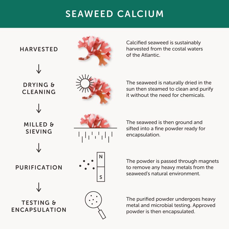 Calcium – Together Health – Seaweed-Based Calcium – 72 Trace