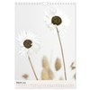 Dried Flowers (Wall Calendar 2026 DIN A4 portrait), CALVENDO 12