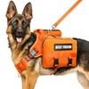 MOOGROU Dog Backpack Harness and Leash Set for Large Dogs