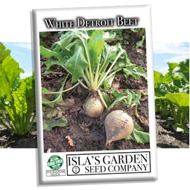 White Detroit Beet Seeds for Planting, 100+ Heirloom Seeds Per Packet, (Isla's Garden Seeds), Non GMO Seeds, Botanical Name: Beta vulgaris, Great Home Garden Gift