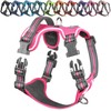 VIVAGLORY Easewalk No Pull Dog Harness, Dog Harness for Training