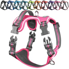 VIVAGLORY Easewalk No Pull Dog Harness, Dog Harness for Training & Walking with Front Clip & Handle, No Pull & Escape Proof for Pet Puppy, XS, Pink