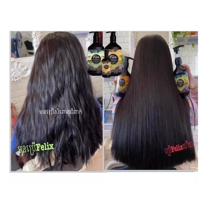 Felix Argan Oil Hair Shampoo សាប៊ូកក់សក់ហ្វ