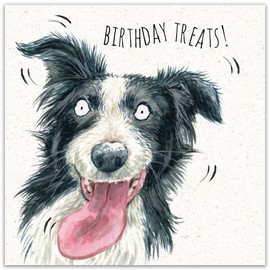 Twizler Funny Birthday Card - Dog Birthday Card for Men Women - Him Her Happy Birthday Card Mum Dad Husband Wife - Son Daughter Card for Sister Brother - Border Collie Card from the Dog
