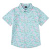 Hurley Boys' Woven Button Down Shirt, Blue Ice/Flamingo