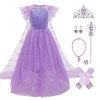 Snow Queen Elsa Princess Costumes for Girls Children Tulle Dress