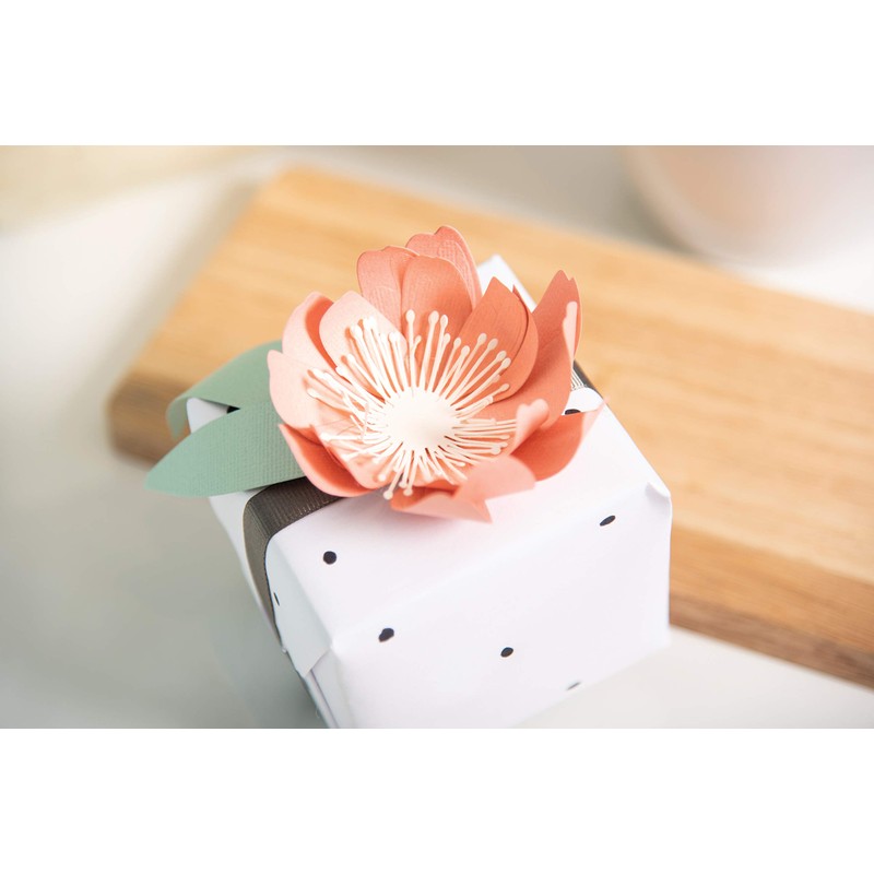 Thinlits Die Set 8 Pack 664390 Tulip by Jennifer Ogborn