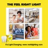 Norb Everyday Sun Light Bulb - Full Spectrum Wellness Lighting,