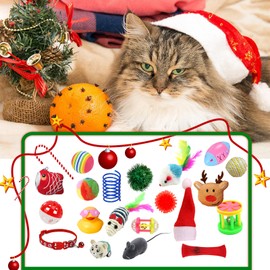 LMDGDS Christmas Cat Toy Set 24 Pieces, Cat Surprise Box with Feather Tile, Balls, Toy Mice, Interactive Toy for Indoor Cats and Kittens
