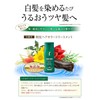 Rishiri Hair Color Treatment (Black) 7.1 oz (200 g) +