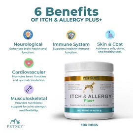 PetScy Itch & Allergy Plus Chews for Dogs Itchy Skin, Ears & Paws | Probiotics, Moringa & Turmeric | for Skin Redness, Hair Loss Gut & Digestive Health - Bacon Flavor - 60 Chews (Pack of 3)