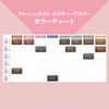 【Fresh Light】 Milky Hair Color Navy Blue (For Black Hair)