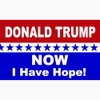 CafePress Now I Have Hope Greeting Card (20-pack), Note Card