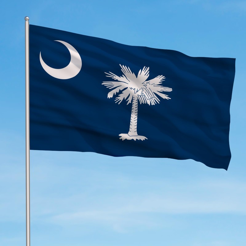 AhfuLife South Carolina Flag 3x5 Ft, South Carolina State Flags