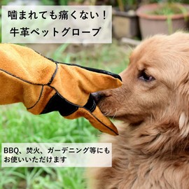 COZENTA Pet Gloves, Dogs, Bite Prevention, Cat Clippers Prevention, Outdoor Gardening, Cowhide Leather (Orange, 17.7 inches (45 cm)