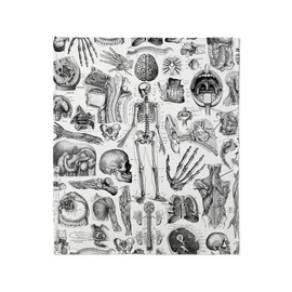 CafePress Anatomy_W_Twin_Duvet Throw Blanket Super Soft Fleece Plush Throw Blanket, 60"x50"