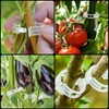 Pack of 100 Plant Clips, Plant Clips, Tomato Clips, Tomato