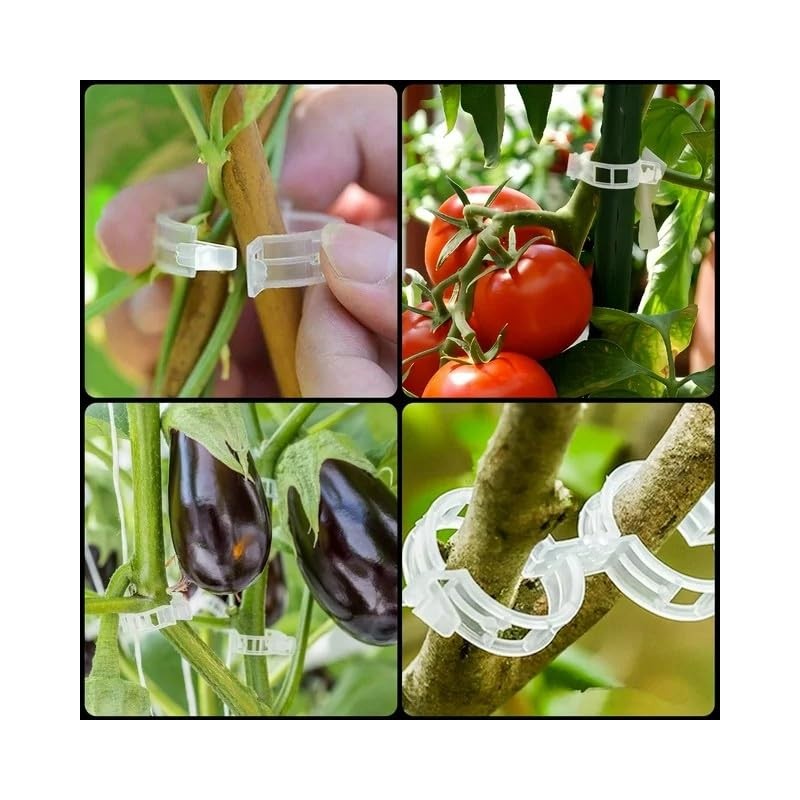 Pack of 100 Plant Clips, Plant Clips, Tomato Clips, Tomato