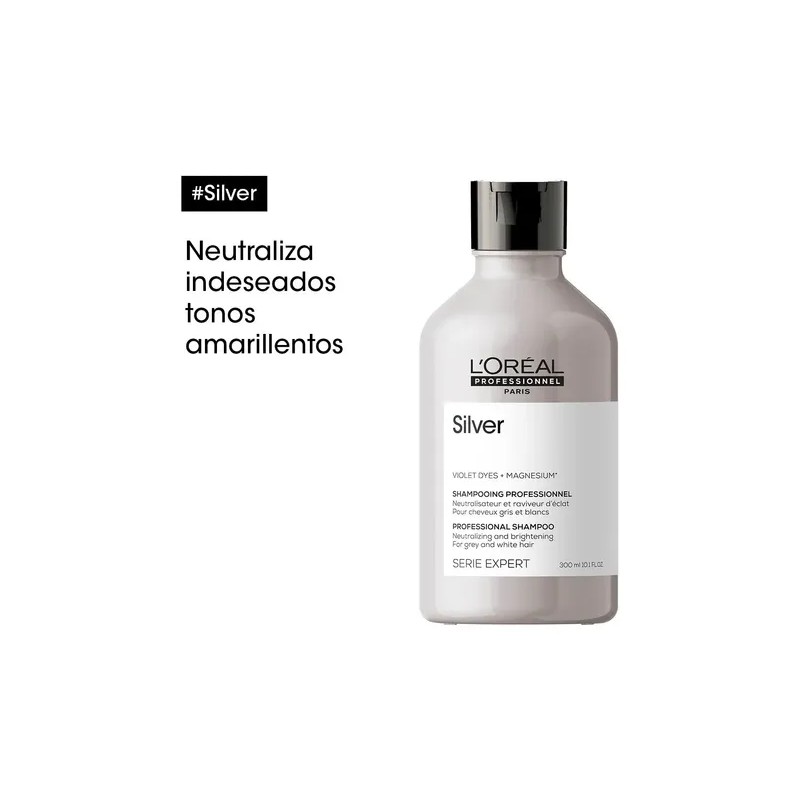 Shampoo Cuidado Canas Loréal Professionnel Silver 300ml